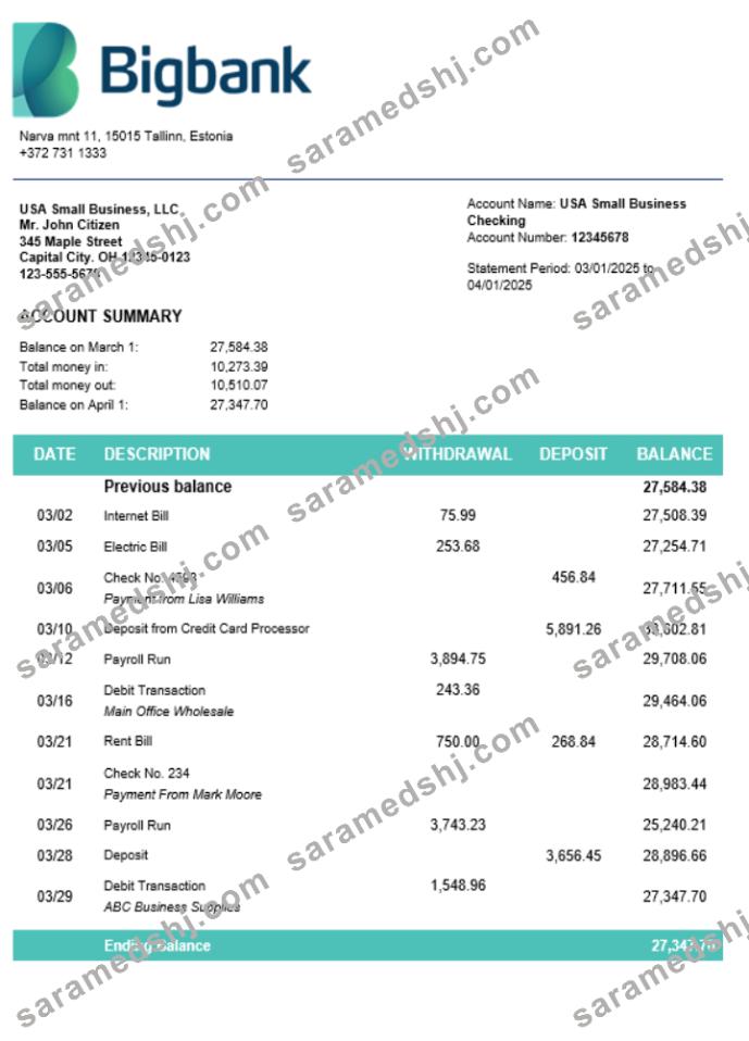 Bigbank firm account statement Word and PDF template